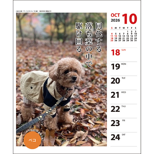 2026年版・壁掛卓上兼用】 アートプリントジャパン（A.P.J.） 週めくり