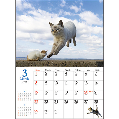 2026年版・壁掛】 アートプリントジャパン（A.P.J.） 飛び猫 033