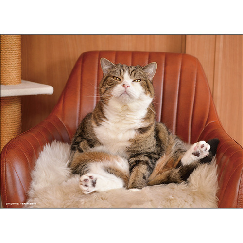 2026年版・卓上】 アートプリントジャパン（A.P.J.） まるちゃん 039