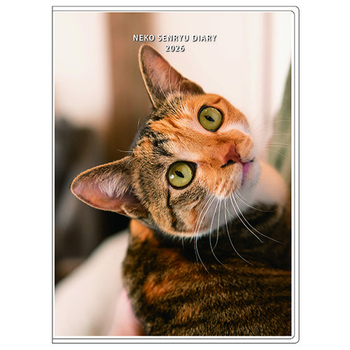 特別価格10000円→6000円❗️手作り額付き作品　title「プカプカ猫」 特別価格10000円→6000円❗️手作り額付き作品 title「プカプカ