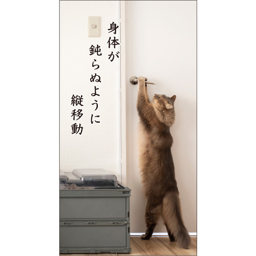 2027年版・卓上】 アートプリントジャパン（A.P.J.） 猫川柳 卓上