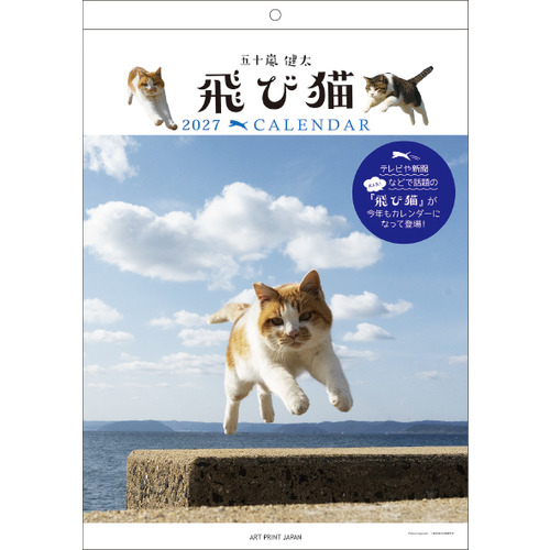 2027年版・壁掛】 アートプリントジャパン（A.P.J.） 飛び猫 140849