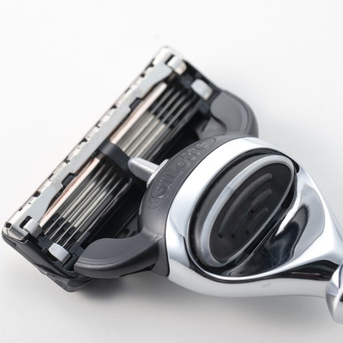 期間限定価格！②ウィンゾリー　国内実生株　8株セット Zippo ジッポー ウインディ ウインドプルーフ レディ ブラックマット