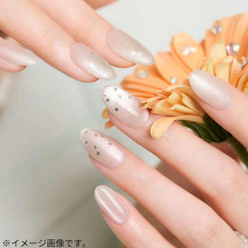 2箱12種類ネイルチップダッシングディバマジックプレススワロフスキーコレクション ダッシングディバ（DASHING DIVA） マジックプレス MJA6S006AGA ステラ