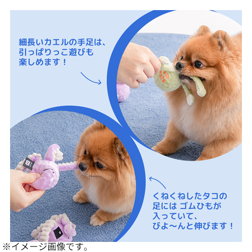 バイトミー（BITE ME） ぴょんぴょんボールおもちゃ カエル｜【ハンズ
