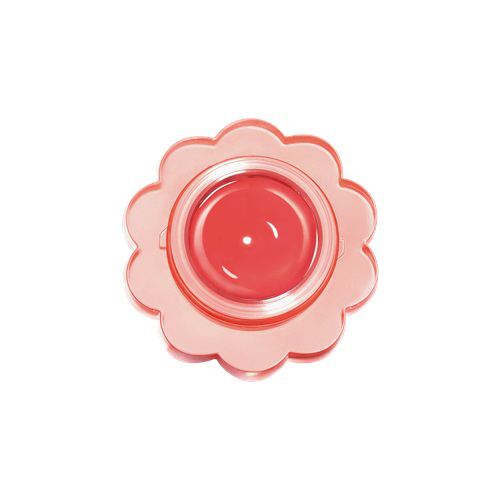 dasique チューインググロウポット まとめ売り dasique チューインググロウポット まとめ売り