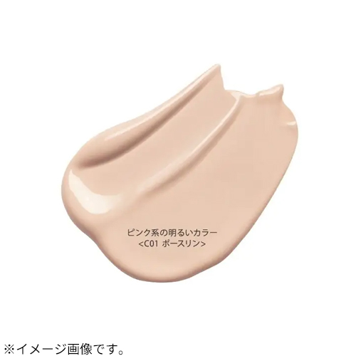 ティーフィット（tfit） アイシーフィットカバークッションEX C01