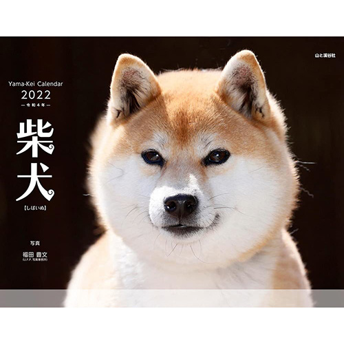 22年版 壁掛 山と溪谷社 柴犬 カレンダー 壁掛けカレンダー 東急ハンズネットストア