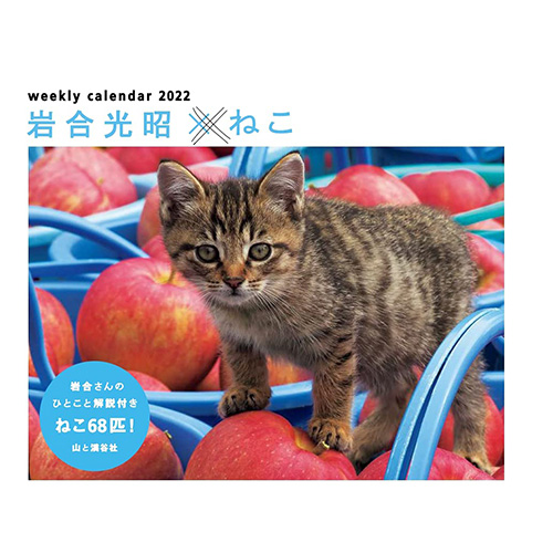 22年版 卓上 山と溪谷社 岩合光昭 ねこ 85 カレンダー 卓上カレンダー 東急ハンズネットストア