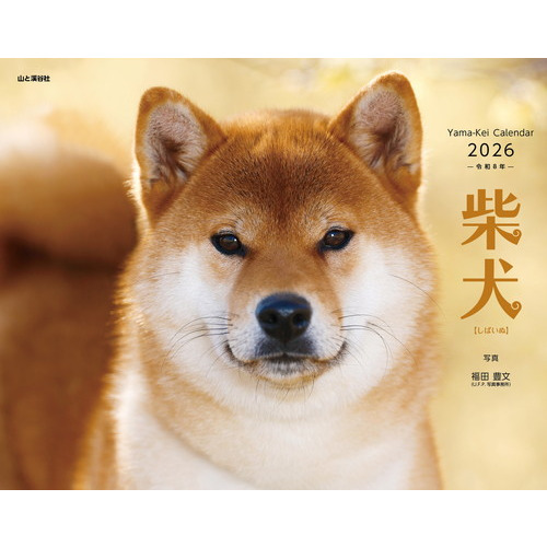 2026年版・壁掛】 山と溪谷社 柴犬｜【ハンズネットストア】