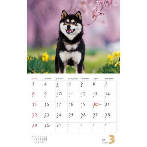 お柴さん　専用 2026年版・壁掛】 山と溪谷社 柴犬｜【ハンズネットストア】