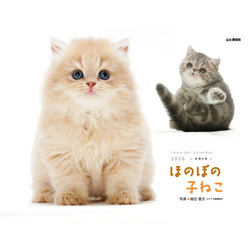 2026年版・壁掛】 山と溪谷社 ほのぼの子ねこ｜【ハンズネットストア】