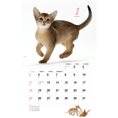 2026年版・壁掛】 山と溪谷社 ほのぼの子ねこ｜【ハンズネットストア】