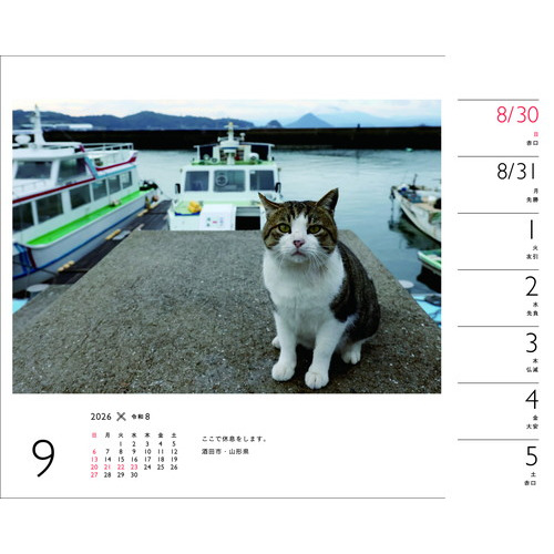 2026年版・卓上】 山と溪谷社 週めくりカレンダー 岩合光昭×ねこ