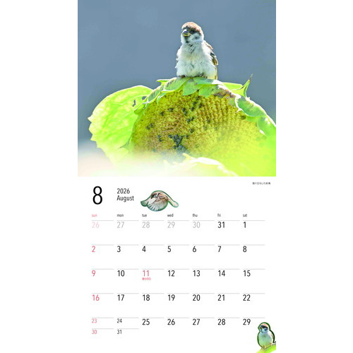 2026年版・壁掛】 山と溪谷社 すずめ日和｜【ハンズネットストア】