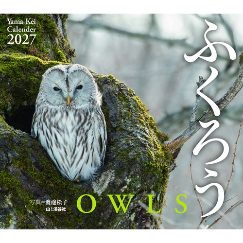 37 大きなフクロウさん 01 2027年版・壁掛】 山と溪谷社 ふくろう 863480｜【ハンズネットストア】