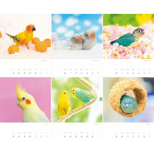 2027年版・壁掛】 山と溪谷社 かわいんこ インコと小鳥 863490