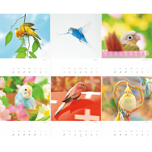 2027年版・壁掛】 山と溪谷社 かわいんこ インコと小鳥 863490