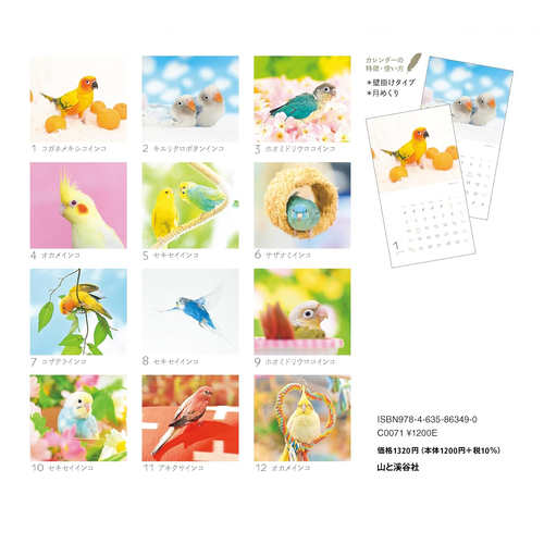 2027年版・壁掛】 山と溪谷社 かわいんこ インコと小鳥 863490