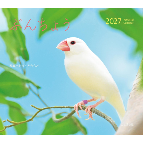 2027年版・壁掛】 山と溪谷社 ぶんちょう 863500｜【ハンズネットストア】