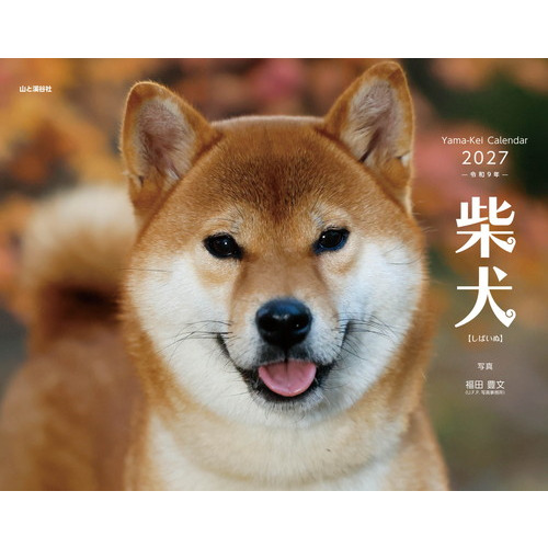 しばいぬ 2027年版・壁掛】 山と溪谷社 柴犬 863520｜【ハンズネットストア】