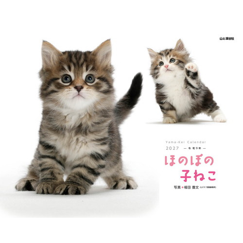 2027年版・壁掛】 山と溪谷社 ほのぼの子ねこ 863560｜【ハンズネット