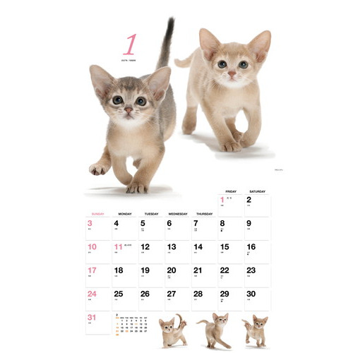 2027年版・壁掛】 山と溪谷社 ほのぼの子ねこ 863560｜【ハンズネット