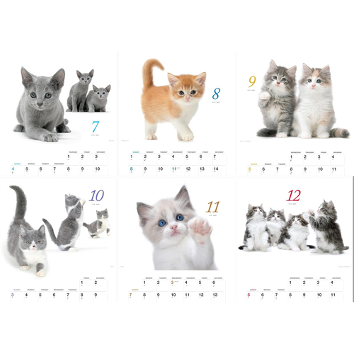 2027年版・壁掛】 山と溪谷社 ほのぼの子ねこ 863560｜【ハンズネット
