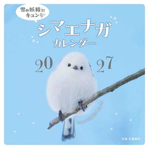 2027年版・壁掛】 芸文社 シマエナガカレンダー｜【ハンズネットストア】