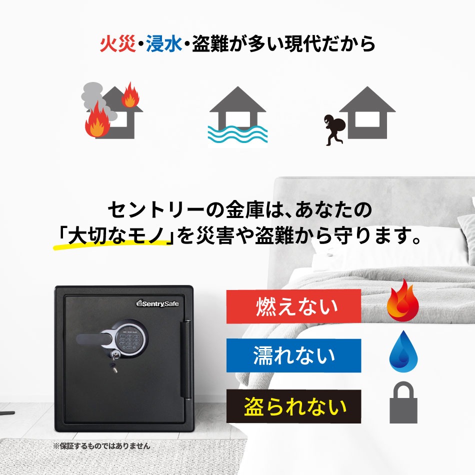 セントリー（Sentry） ビッグボルトシリーズ スタンダードJFW