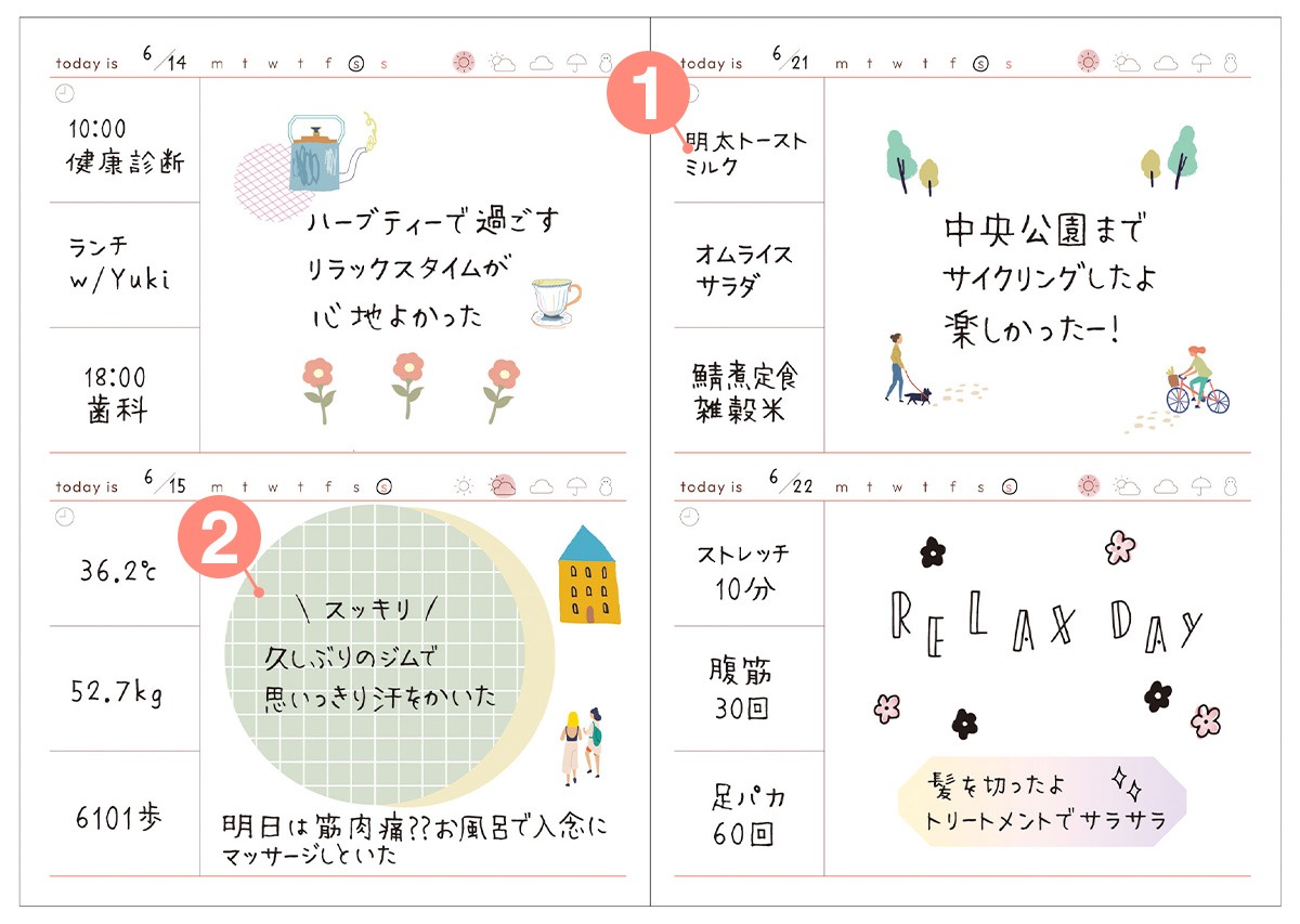 内容