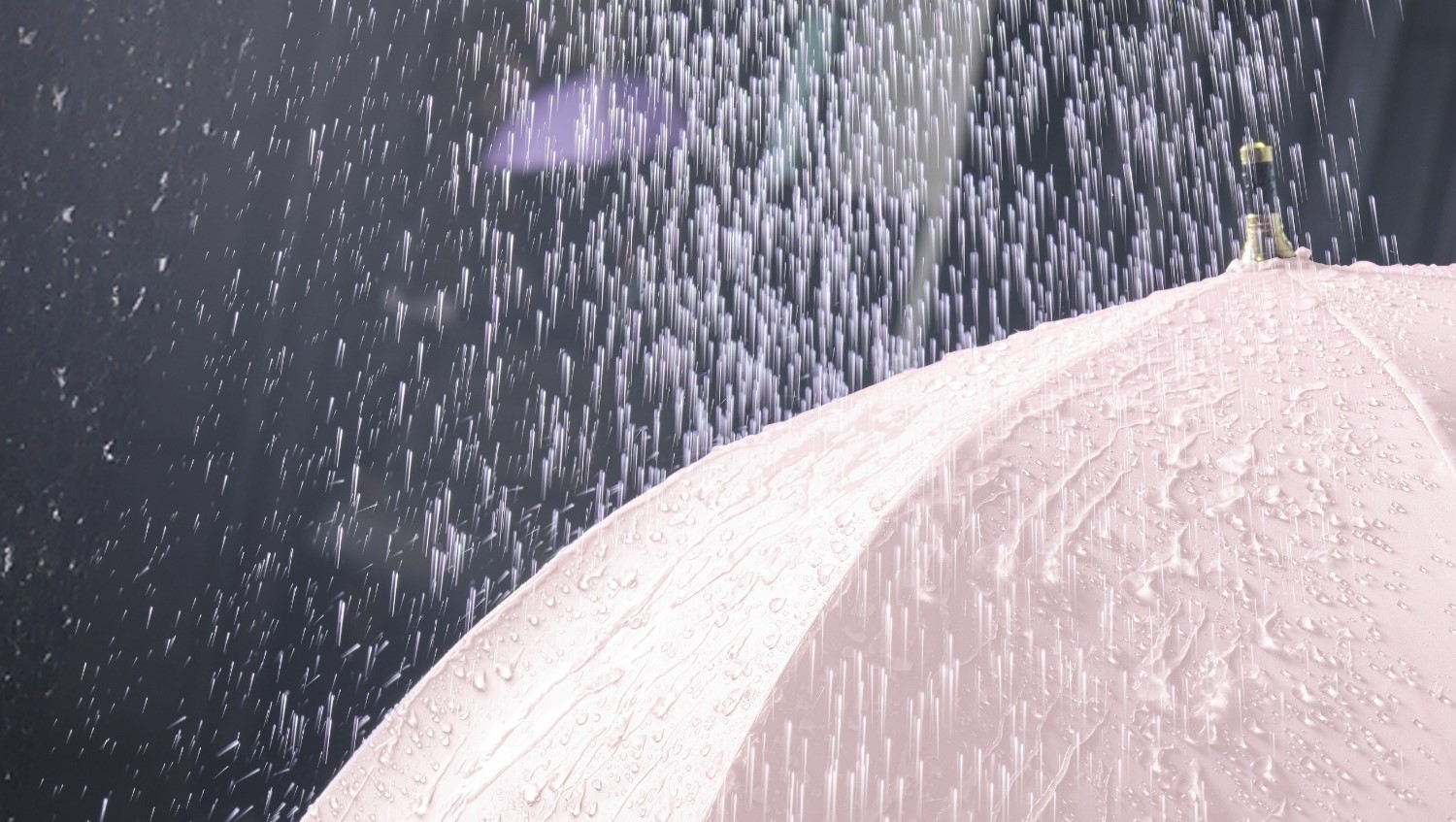 ボウ　雨魂 　2本セット 雨水タンク】 タカショー製 レインボウルダークグレー210