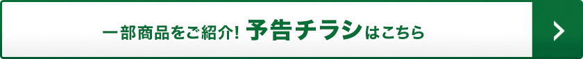 一部商品をご紹介!予告チラシ