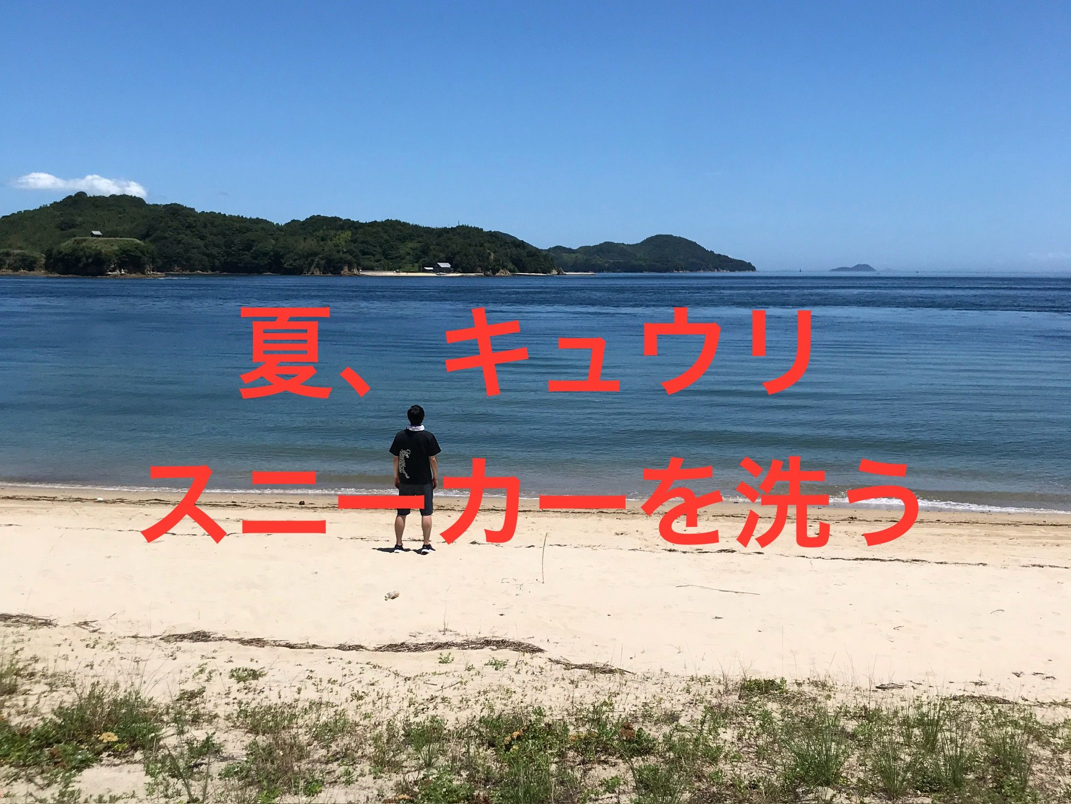 日本理化学工業 靴用滑り止め ブラック Lサイズ wgteh8f 日本理化学工業 靴用滑り止め ブラック Lサイズ wgteh8f